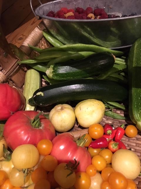 tomatoes, courgettes, beans and raspberries