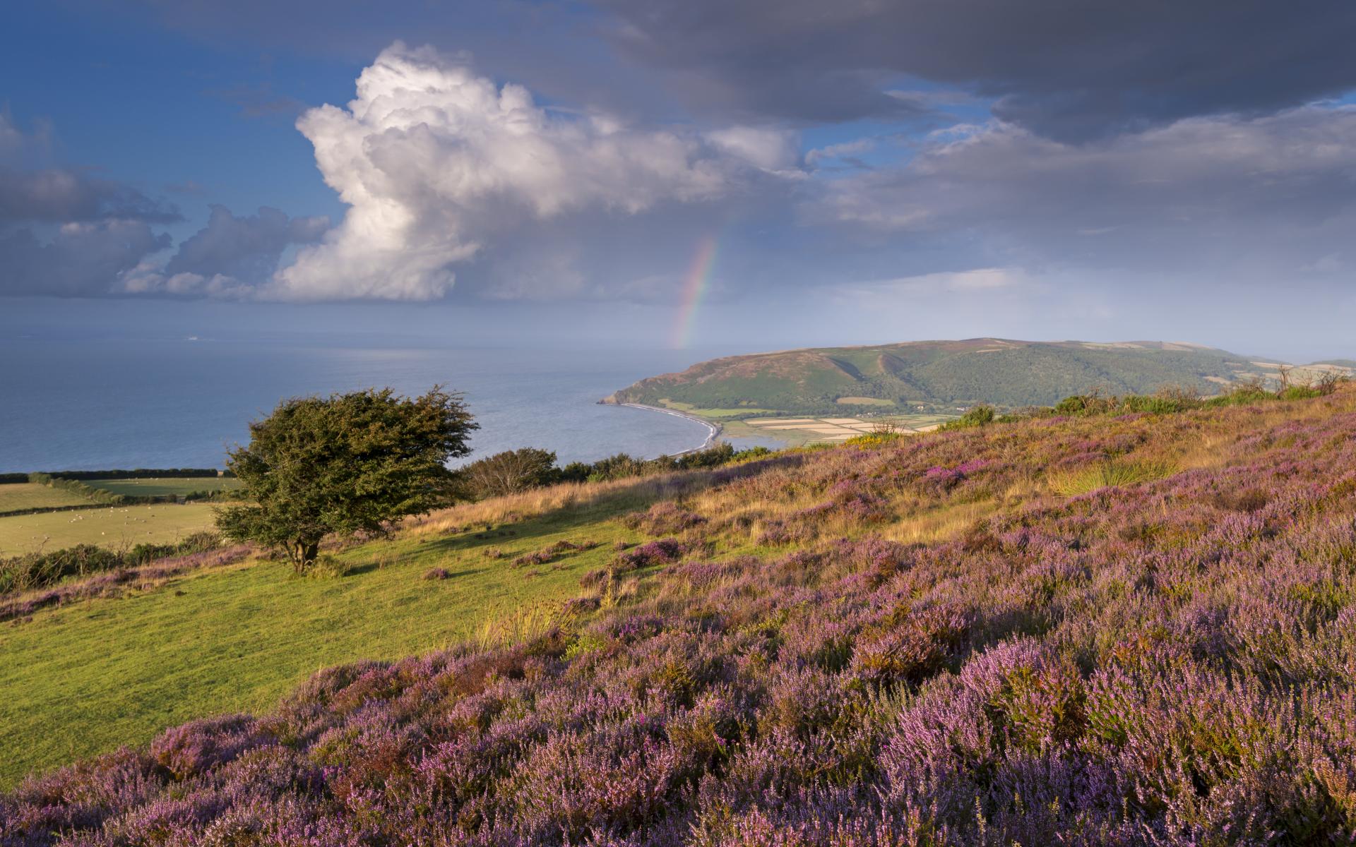 Porlock Hill 