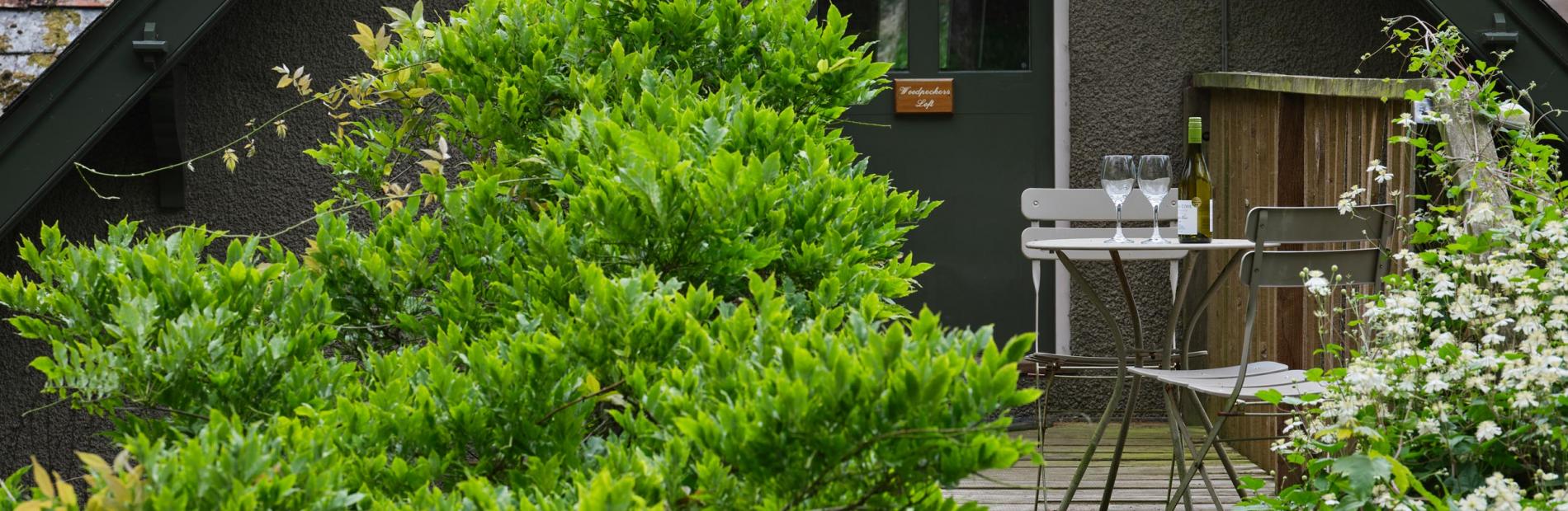 Knapp House Self Catering Lodges in Devon