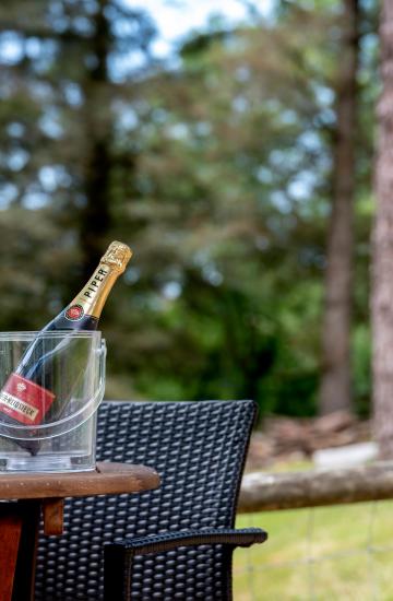 Outdoor Space at Knapp House Self Catering Lodges in Devon