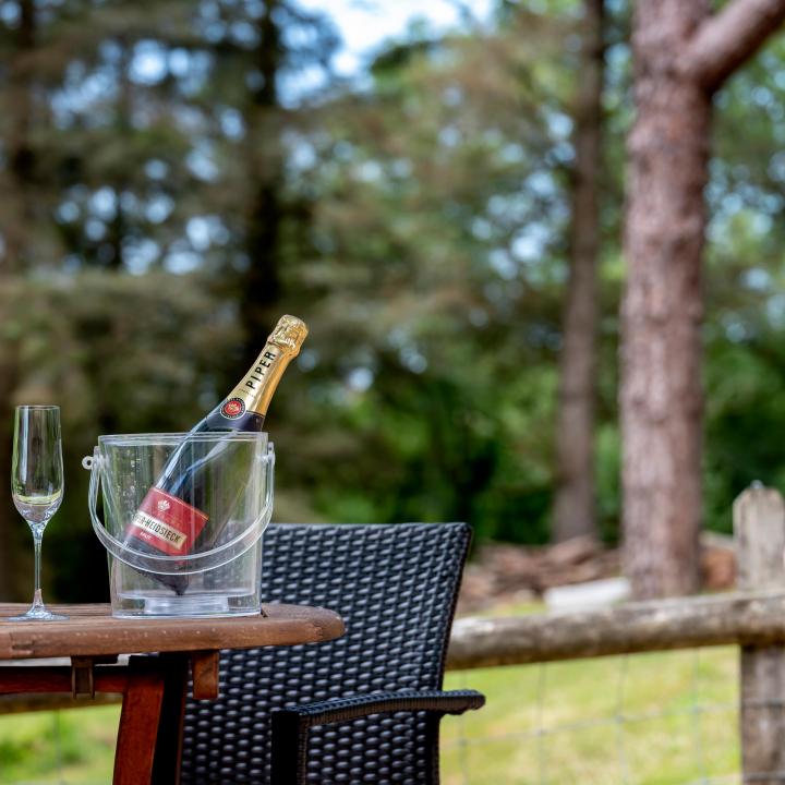 Outdoor Space at Knapp House Self Catering Lodges in Devon