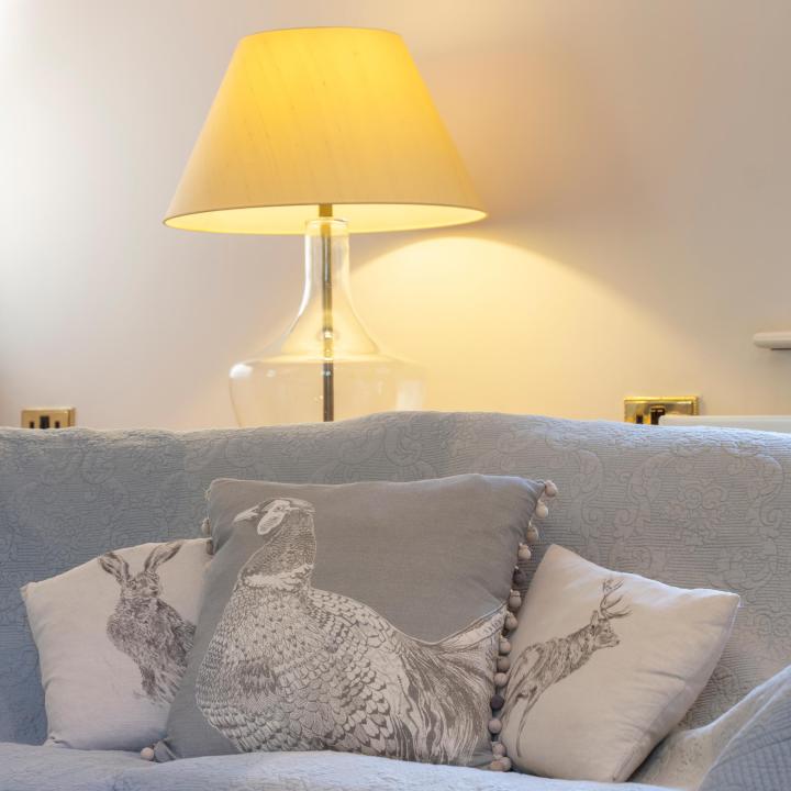 Lounge area at Knapp House Self Catering Lodges in Devon