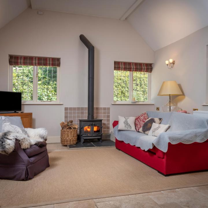 Wood Burner in Lounge at Knapp House Self Catering Lodges in Devon