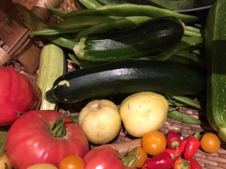 tomatoes, courgettes, beans and raspberries